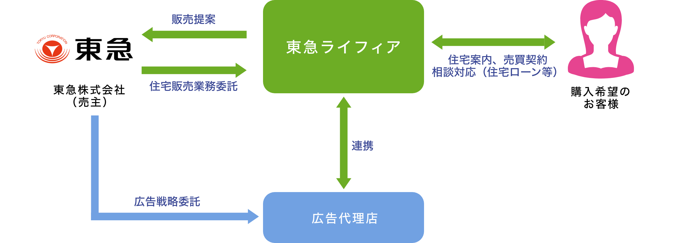 仕事の範囲・人との関わり
